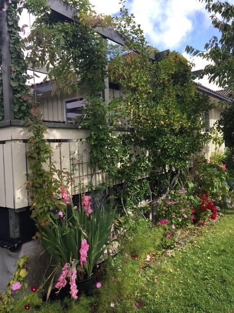 Terrasse over garasje, bugnende grønt om sommeren